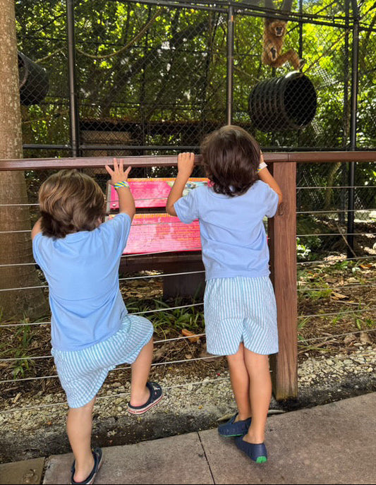 Prado Shorts in Classic Green Stripes