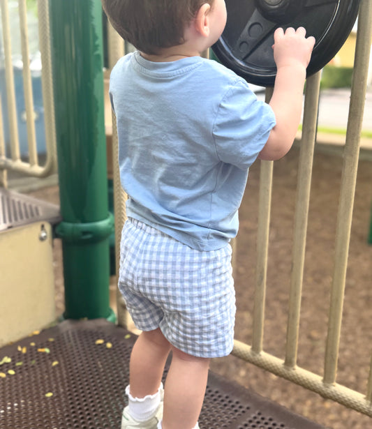 Prado Shorts in Blue Vichy