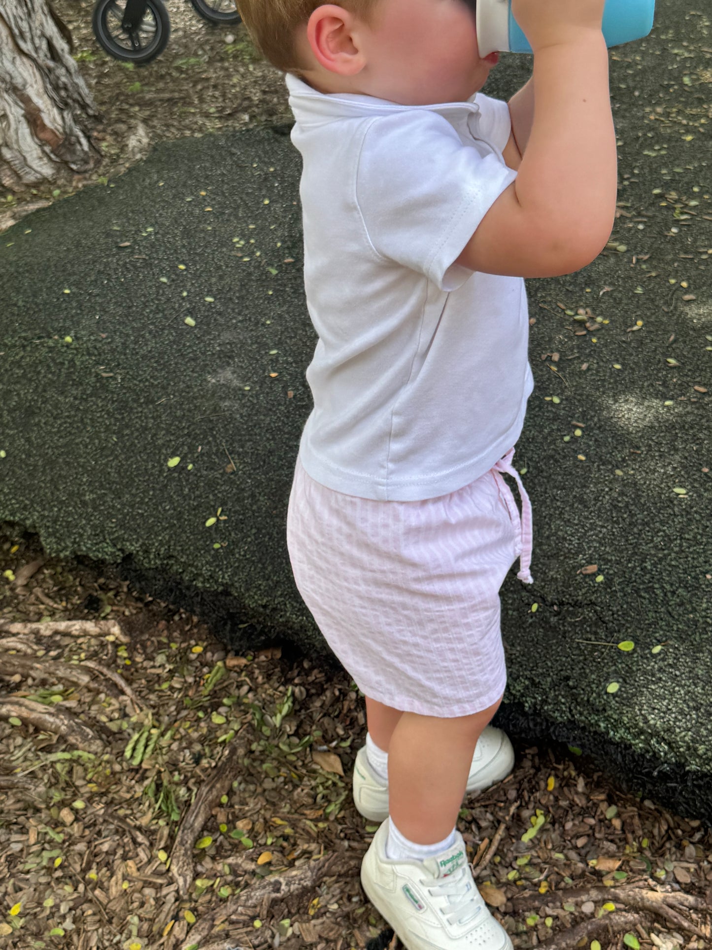 Prado Shorts in Classic Pink Stripes